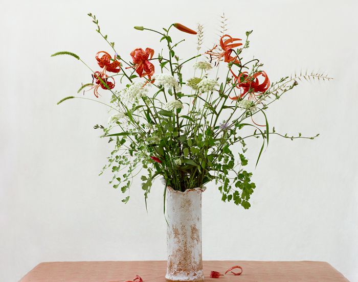 Turk’s Cap Lily, Eastern Bottlebrush, Timothy-grass, Greater Meadow-rice, Queen Anne’s Lace, 45-1207-04-18, Archival Pigment Print—8x10, 16x20, 32x40, 40x50