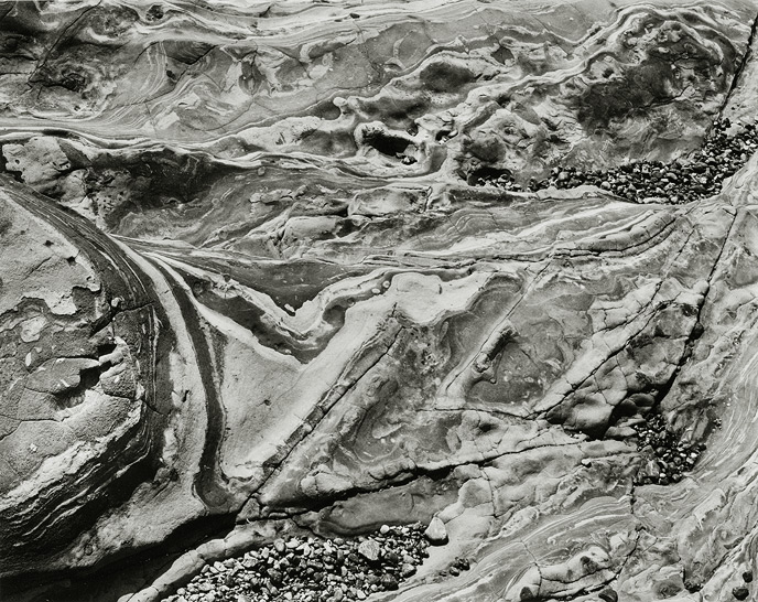 Point Lobos, 2002, 8"X10" gelatin silver chloride contact print, 8"X10" gelatin silver chloride contact print