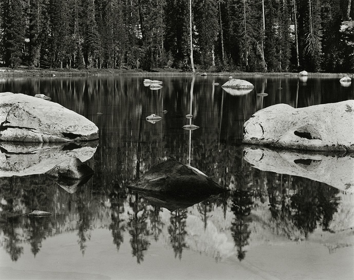 Yosemite, California, 1995, 81-9509-12, 8"X10" gelatin silver chloride contact print