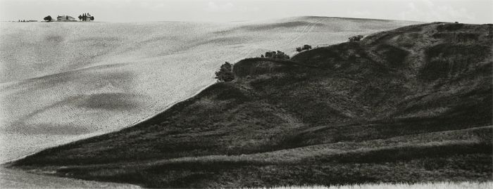 Between San Quirico d’Orcia and Pienza, Tuscany, 2000, 82-0006-65-131, 8"x20" gelatin silver chloride contact print